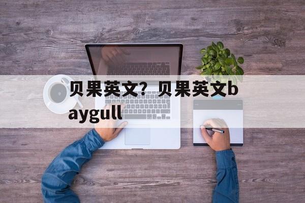 贝果英文？贝果英文baygull-第1张图片-