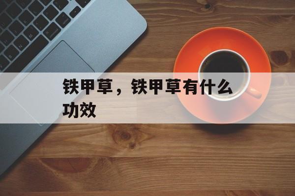 铁甲草，铁甲草有什么功效-第1张图片-