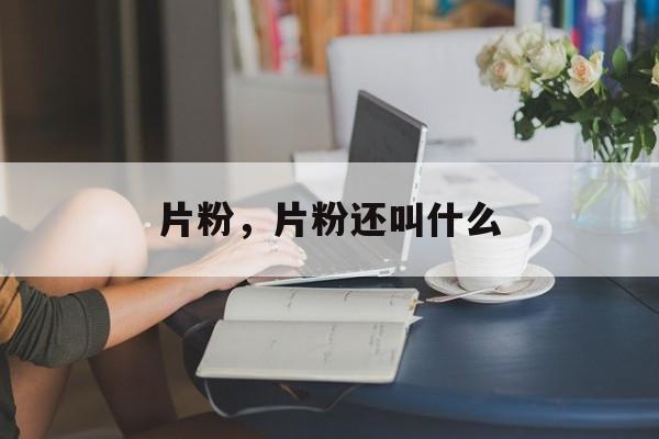 片粉，片粉还叫什么-第1张图片-
