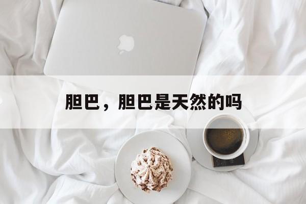 胆巴，胆巴是天然的吗-第1张图片-