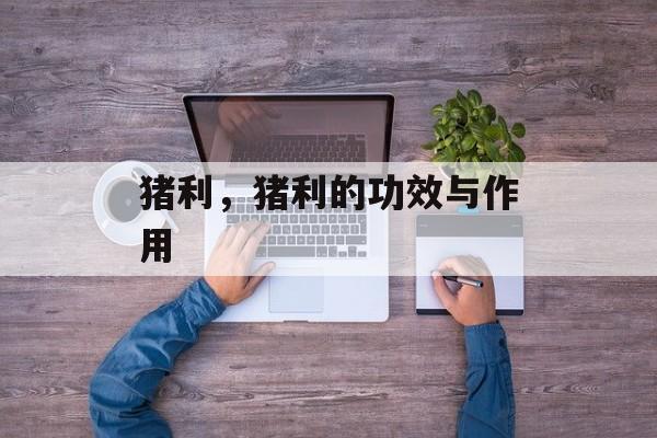 猪利，猪利的功效与作用-第1张图片-