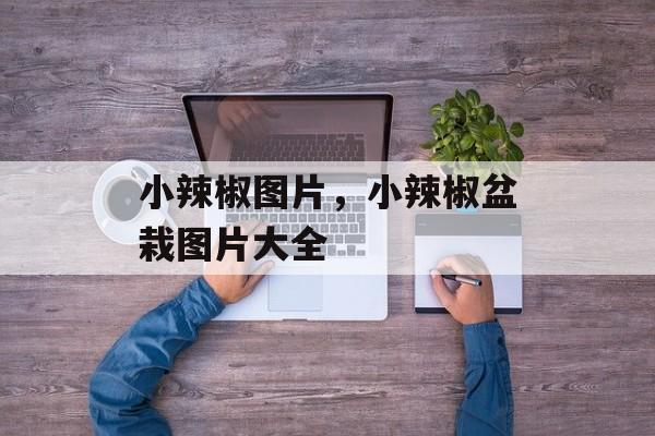 小辣椒图片，小辣椒盆栽图片大全-第1张图片-
