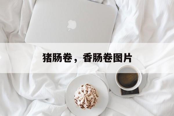 猪肠卷，香肠卷图片-第1张图片-