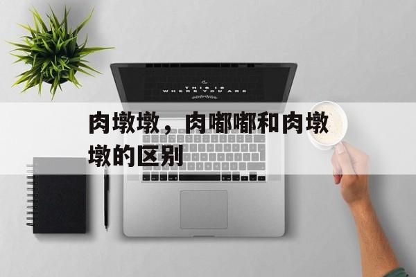 肉墩墩，肉嘟嘟和肉墩墩的区别-第1张图片-