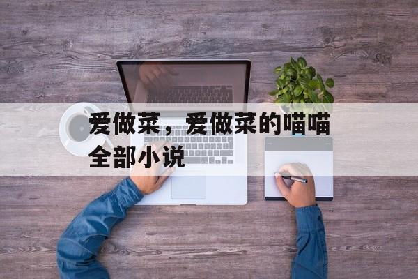 爱做菜，爱做菜的喵喵全部小说-第1张图片-