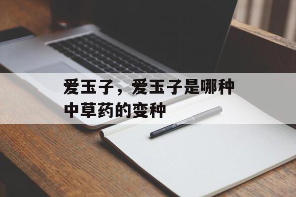 爱玉子，爱玉子是哪种中草药的变种-第1张图片-
