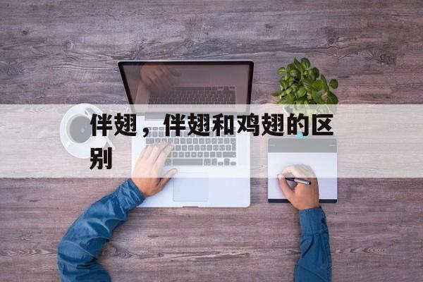 伴翅，伴翅和鸡翅的区别-第1张图片-