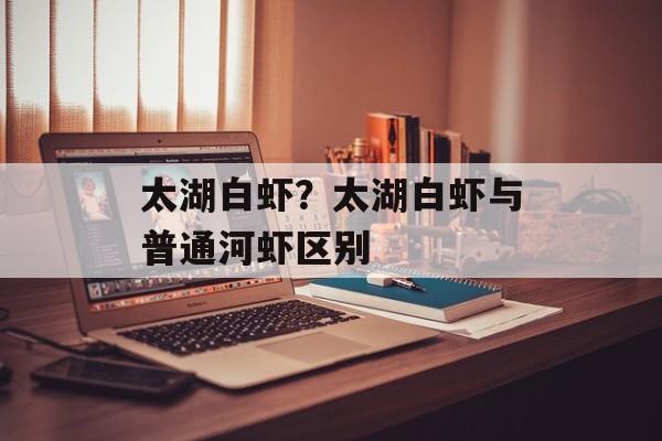 太湖白虾？太湖白虾与普通河虾区别-第1张图片-