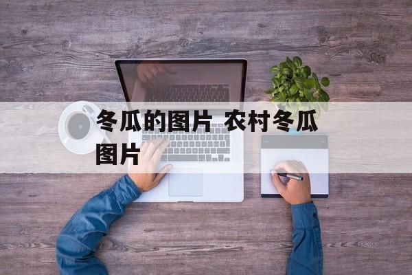 冬瓜的图片 农村冬瓜图片-第1张图片-