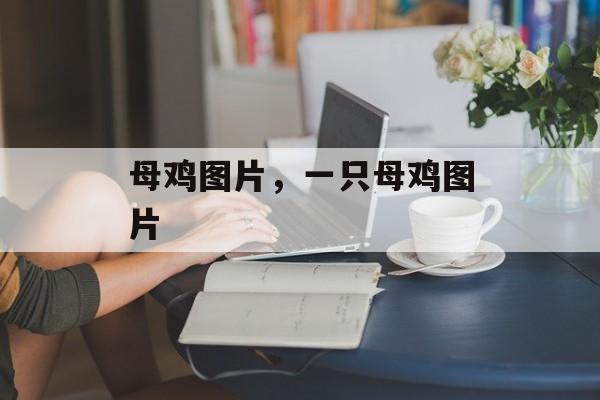 母鸡图片，一只母鸡图片-第1张图片-