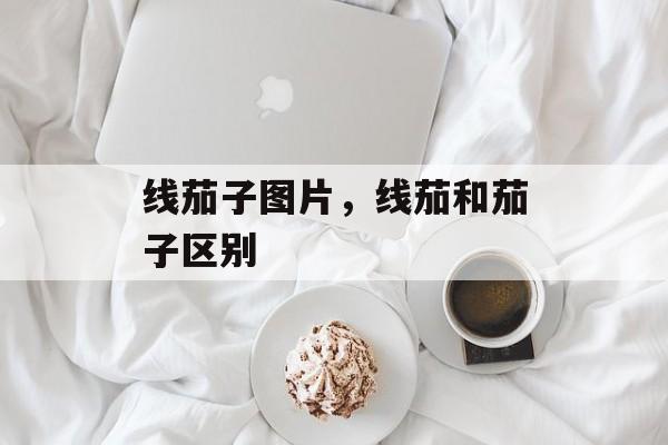 线茄子图片，线茄和茄子区别-第1张图片-