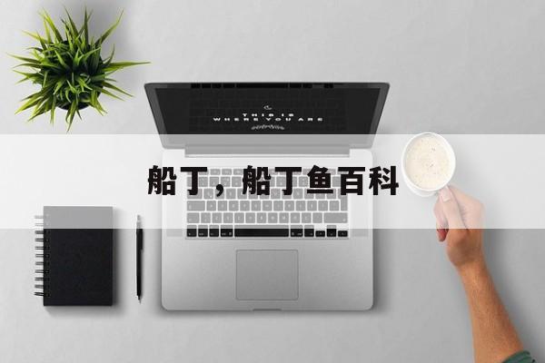 船丁，船丁鱼百科-第1张图片-