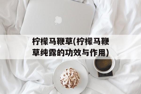 柠檬马鞭草(柠檬马鞭草纯露的功效与作用)-第1张图片-