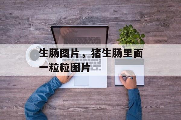 生肠图片，猪生肠里面一粒粒图片-第1张图片-