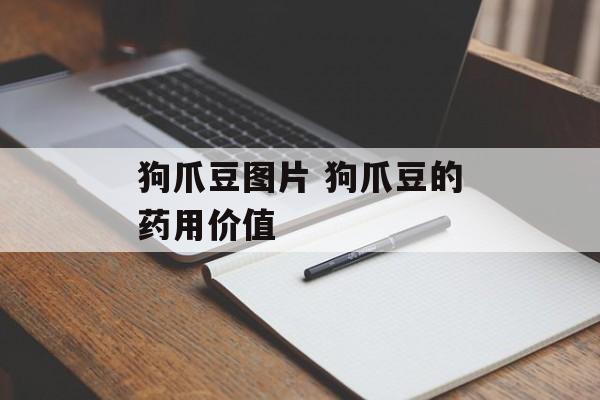 狗爪豆图片 狗爪豆的药用价值-第1张图片-