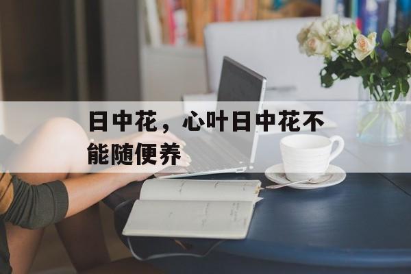日中花，心叶日中花不能随便养-第1张图片-