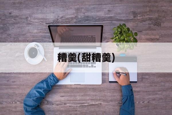 糟羹(甜糟羹)-第1张图片-