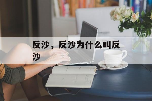 反沙，反沙为什么叫反沙-第1张图片-