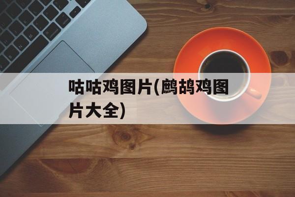 咕咕鸡图片(鹧鸪鸡图片大全)-第1张图片-