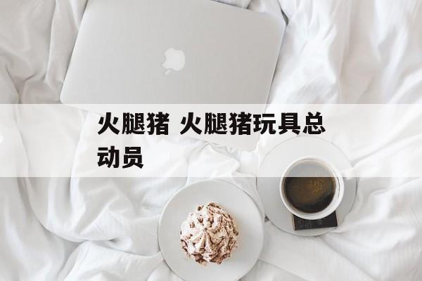 火腿猪 火腿猪玩具总动员-第1张图片-
