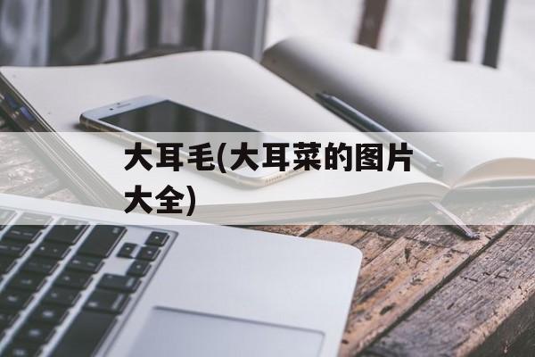 大耳毛(大耳菜的图片大全)-第1张图片-