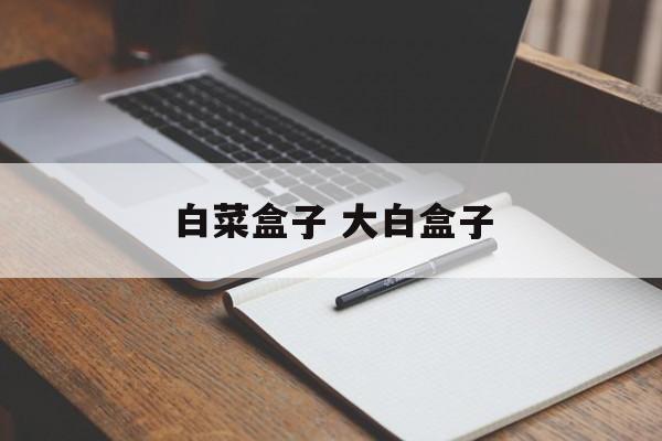 白菜盒子 大白盒子-第1张图片-