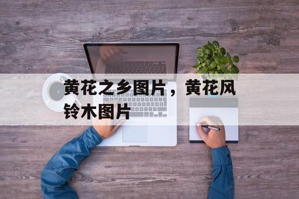 黄花之乡图片，黄花风铃木图片-第1张图片-