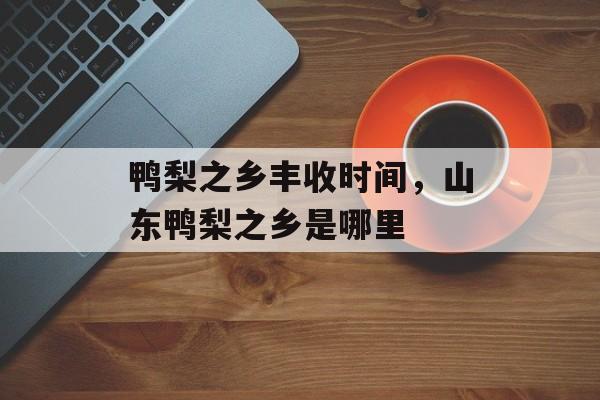 鸭梨之乡丰收时间，山东鸭梨之乡是哪里-第1张图片-