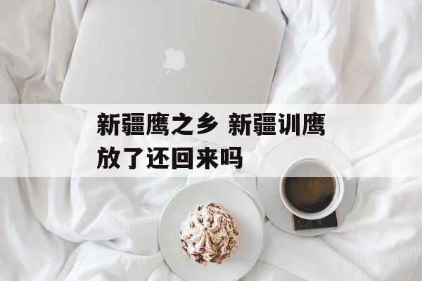 新疆鹰之乡 新疆训鹰放了还回来吗-第1张图片-