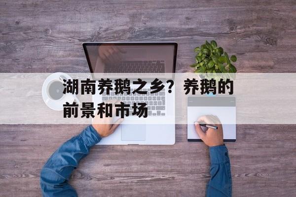 湖南养鹅之乡？养鹅的前景和市场-第1张图片-