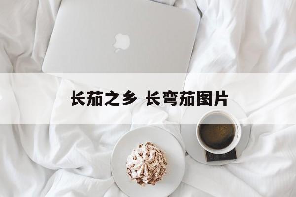 长茄之乡 长弯茄图片-第1张图片-