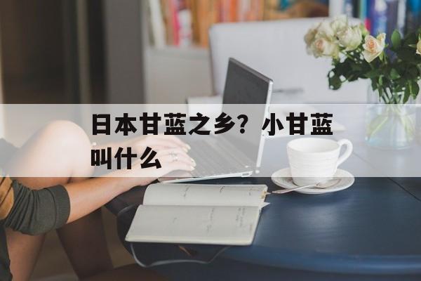 日本甘蓝之乡？小甘蓝叫什么-第1张图片-
