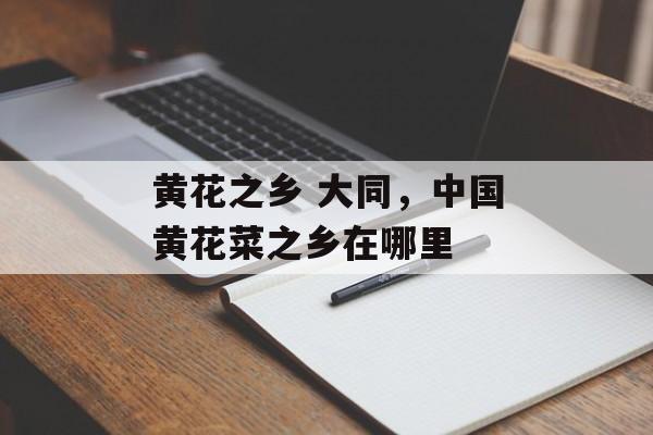 黄花之乡 大同，中国黄花菜之乡在哪里-第1张图片-