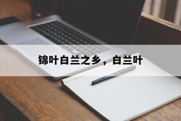 锦叶白兰之乡，白兰叶-第1张图片-