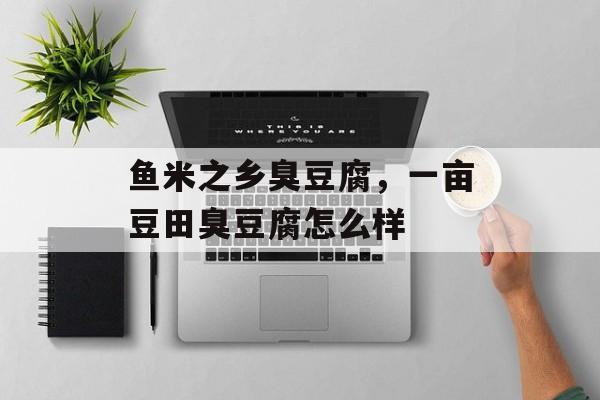 鱼米之乡臭豆腐，一亩豆田臭豆腐怎么样-第1张图片-