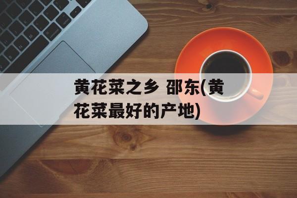 黄花菜之乡 邵东(黄花菜最好的产地)-第1张图片-