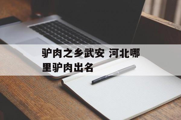 驴肉之乡武安 河北哪里驴肉出名-第1张图片-
