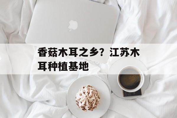 香菇木耳之乡？江苏木耳种植基地-第1张图片-