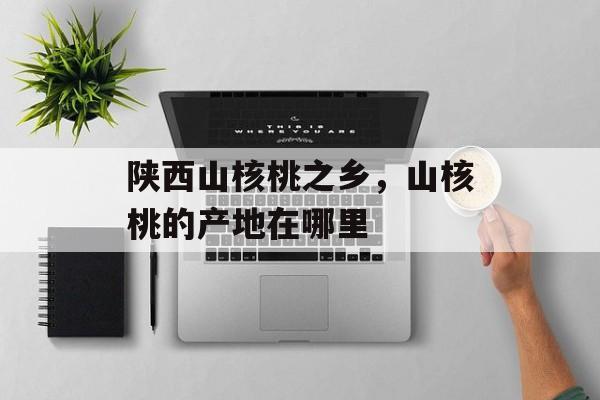 陕西山核桃之乡，山核桃的产地在哪里-第1张图片-
