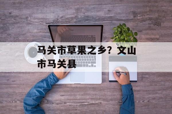 马关市草果之乡？文山市马关县-第1张图片-