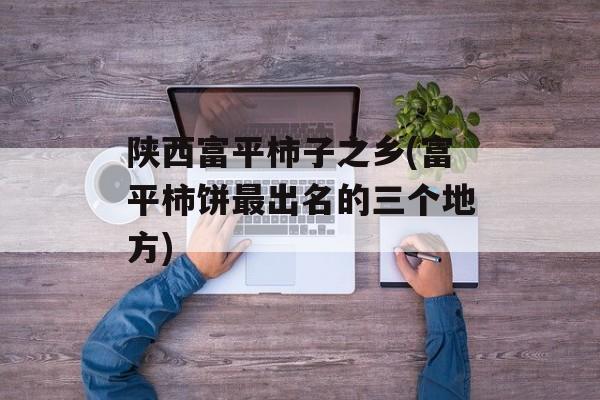 陕西富平柿子之乡(富平柿饼最出名的三个地方)-第1张图片-