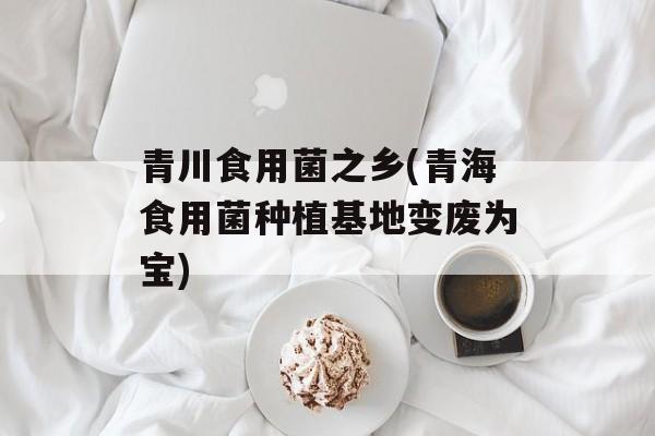 青川食用菌之乡(青海食用菌种植基地变废为宝)-第1张图片-
