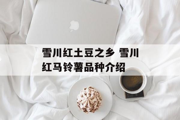 雪川红土豆之乡 雪川红马铃薯品种介绍-第1张图片-