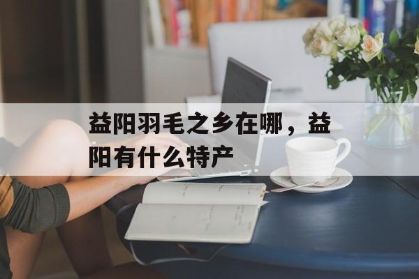益阳羽毛之乡在哪，益阳有什么特产-第1张图片-