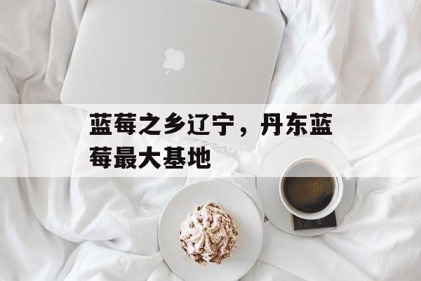 蓝莓之乡辽宁，丹东蓝莓最大基地-第1张图片-