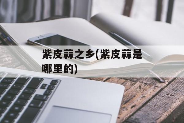 紫皮蒜之乡(紫皮蒜是哪里的)-第1张图片-
