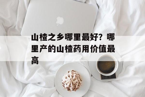 山楂之乡哪里最好？哪里产的山楂药用价值最高-第1张图片-