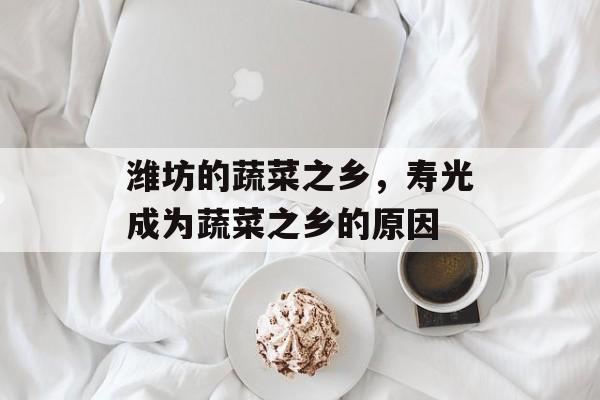 潍坊的蔬菜之乡，寿光成为蔬菜之乡的原因-第1张图片-