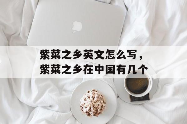 紫菜之乡英文怎么写，紫菜之乡在中国有几个-第1张图片-