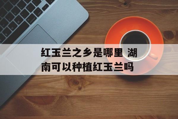 红玉兰之乡是哪里 湖南可以种植红玉兰吗-第1张图片-